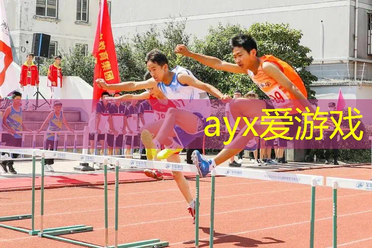 林丹同款网球拍价格多少