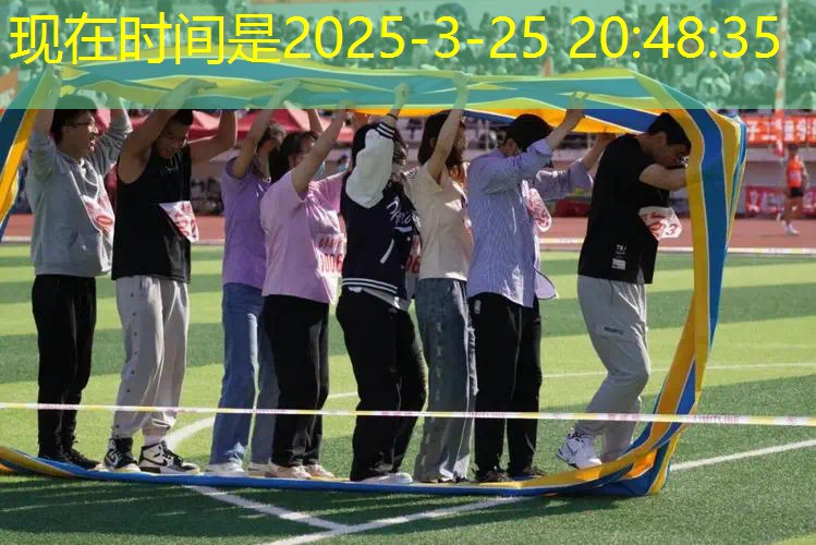 百宝力网球拍介绍