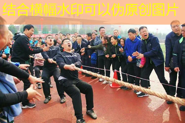 网球拍磅数计算公式图表