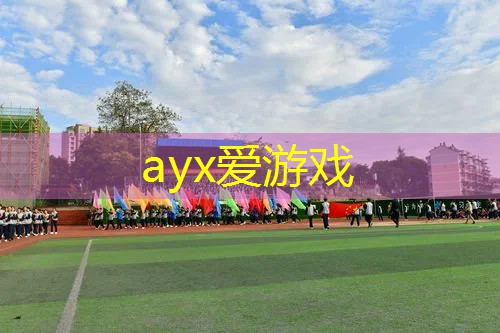 网球拍上的参数怎么看